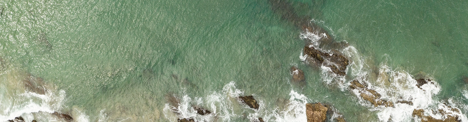 header-mercado-de-capitais